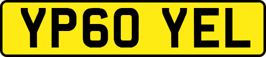 YP60YEL