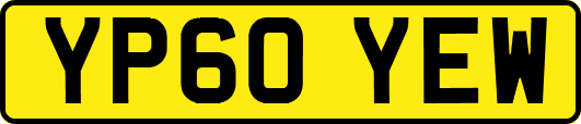 YP60YEW