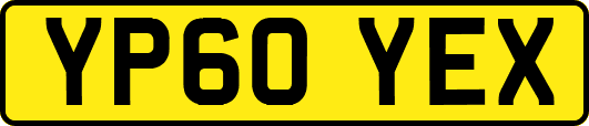 YP60YEX