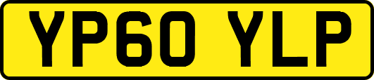 YP60YLP