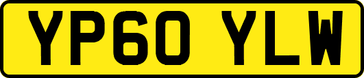 YP60YLW
