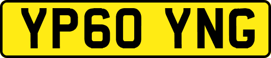 YP60YNG