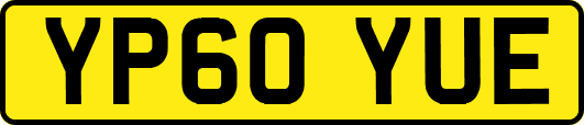 YP60YUE