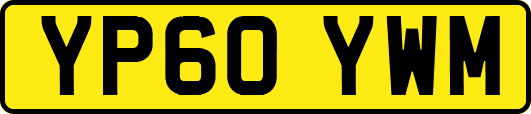 YP60YWM