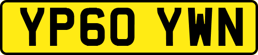 YP60YWN