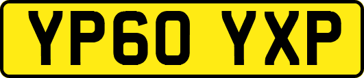 YP60YXP