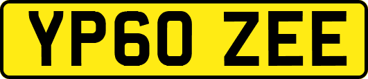 YP60ZEE