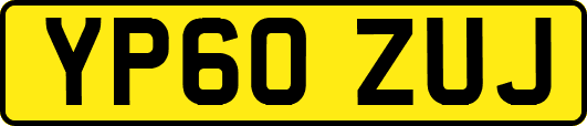 YP60ZUJ