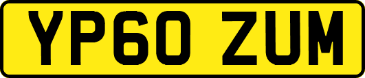 YP60ZUM