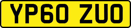 YP60ZUO