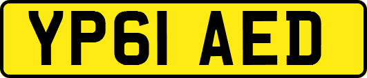 YP61AED