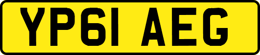 YP61AEG