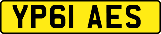 YP61AES