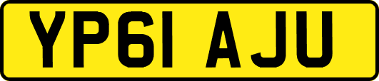 YP61AJU