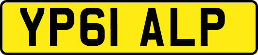 YP61ALP