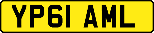 YP61AML