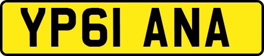 YP61ANA