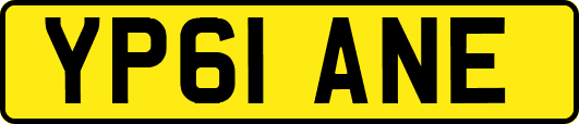 YP61ANE