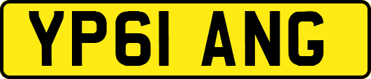 YP61ANG