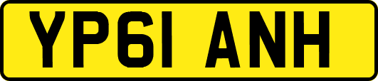 YP61ANH