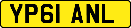 YP61ANL