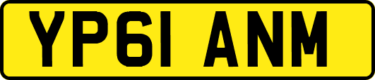 YP61ANM