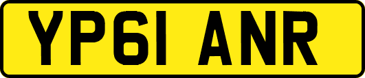 YP61ANR