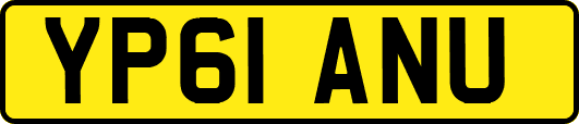 YP61ANU