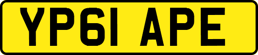 YP61APE