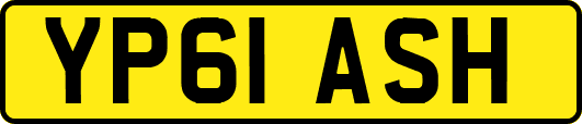 YP61ASH