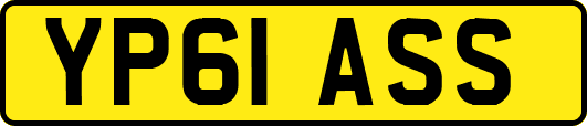 YP61ASS