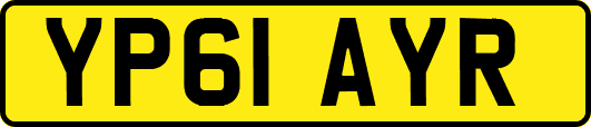 YP61AYR
