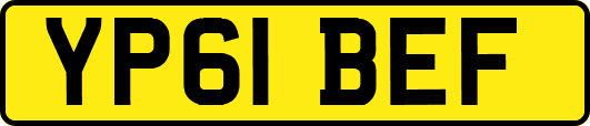 YP61BEF