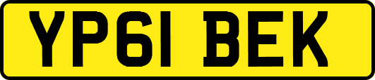 YP61BEK