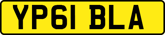 YP61BLA