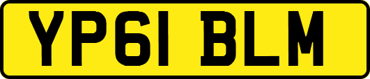 YP61BLM