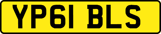 YP61BLS