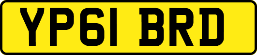 YP61BRD