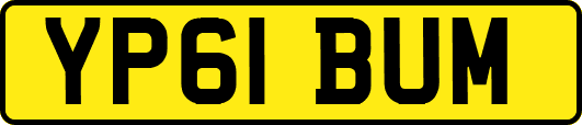 YP61BUM