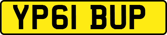 YP61BUP