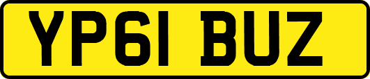 YP61BUZ