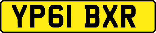 YP61BXR