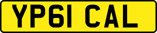 YP61CAL