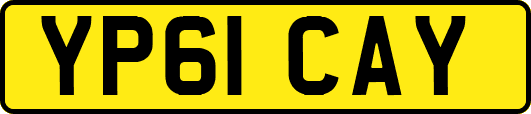 YP61CAY