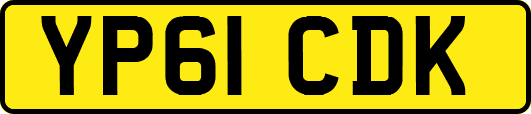 YP61CDK
