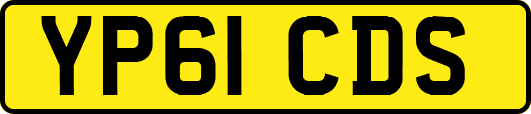 YP61CDS