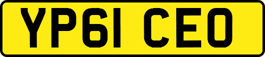 YP61CEO