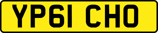 YP61CHO