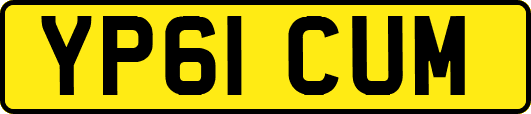 YP61CUM
