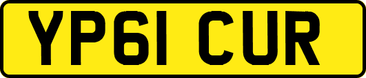 YP61CUR